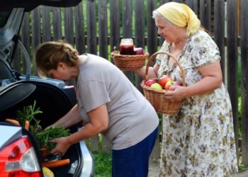 Калитка, сладкий голос и вечное «тебе же по пути»: как просьба снова превратилась в приказ