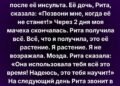 Я не возражала взять только растение… но то