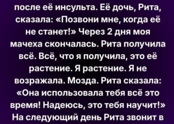 Я не возражала взять только растение… но то