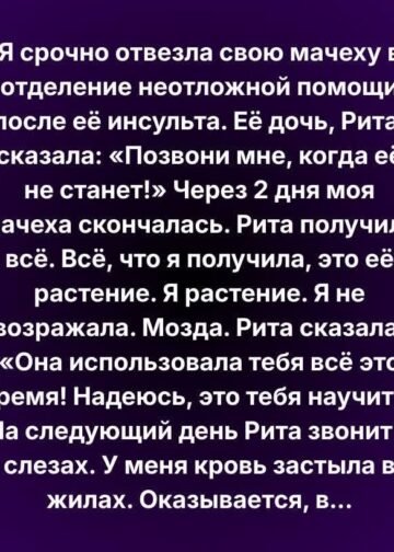 Я не возражала взять только растение… но то