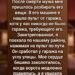 После смерти Андрея дом стал похож на пустую оболочку.