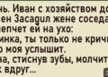 Ночная деревня давно погрузилась в густую тишину.