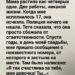 Она исчезла перед самым рассветом