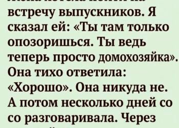 Ты только опозоришься там». После этих слов жена замолчала.