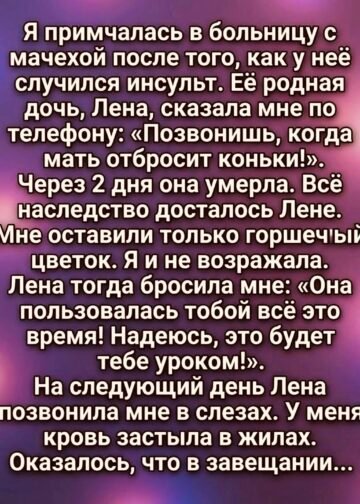Она оставила мне только цветок