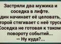 Лифт остановился между этажами