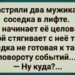Лифт остановился между этажами