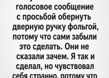 Соседи уехали в отпуск и попросили меня обернуть дверную ручку фольгой