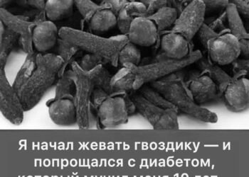 Я начал жевать гвоздику и впервые за…