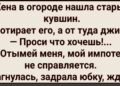 Осень пришла незаметно