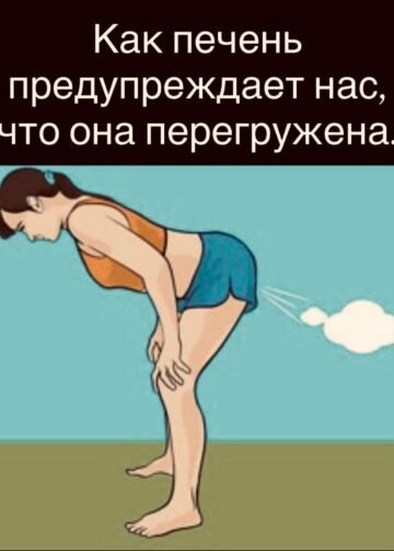 Как печень предупреждает нас, что она перегружена