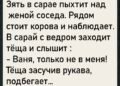 В деревне всегда всё было на виду