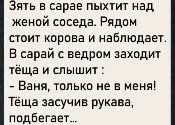В деревне всегда всё было на виду