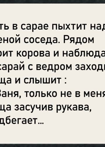 В деревне всегда всё было на виду