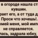 Жена в огороде нашла старый кувшин