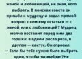 Он пришёл к мудрецу, чтобы выбрать