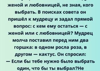 Он пришёл к мудрецу, чтобы выбрать
