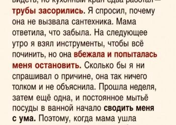 Я вернулся домой после года