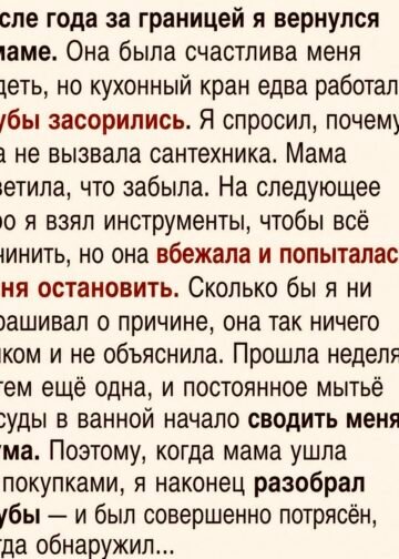 Я вернулся домой после года