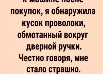 Вернувшись после покупок, я обнаружила