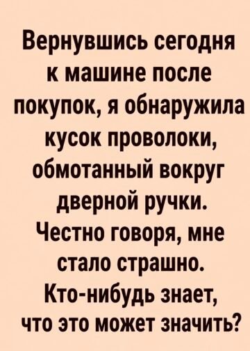 Вернувшись после покупок, я обнаружила