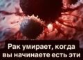 8 продуктов, которые могут…