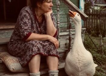 В деревне начались кражи, а я жила одна