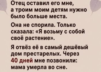 Я отправил 72-летнюю мать из дома.
