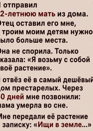 Я отправил 72-летнюю мать из дома.
