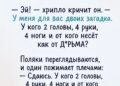Загадка бродяги, над которой весь парк