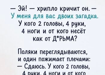 Загадка бродяги, над которой весь парк