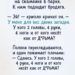 Загадка бродяги, над которой весь парк