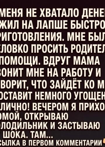 Я ЖИЛ НА ЛАПШЕ БЫСТРОГО ПРИГОТОВЛЕНИЯ