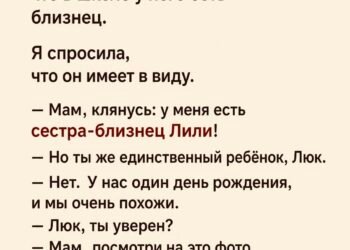«Мам, клянусь, у меня есть сестра-близнец Лили!»