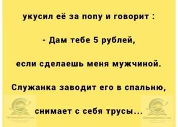 В старом поместье барона Воронцова с самого утра