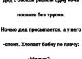 В тот вечер дед Пётр впервые за много лет